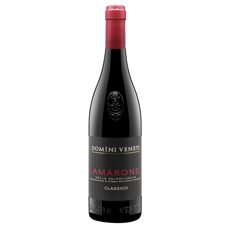 Amarone della Valpolicella Classico DOCG Domìni Veneti